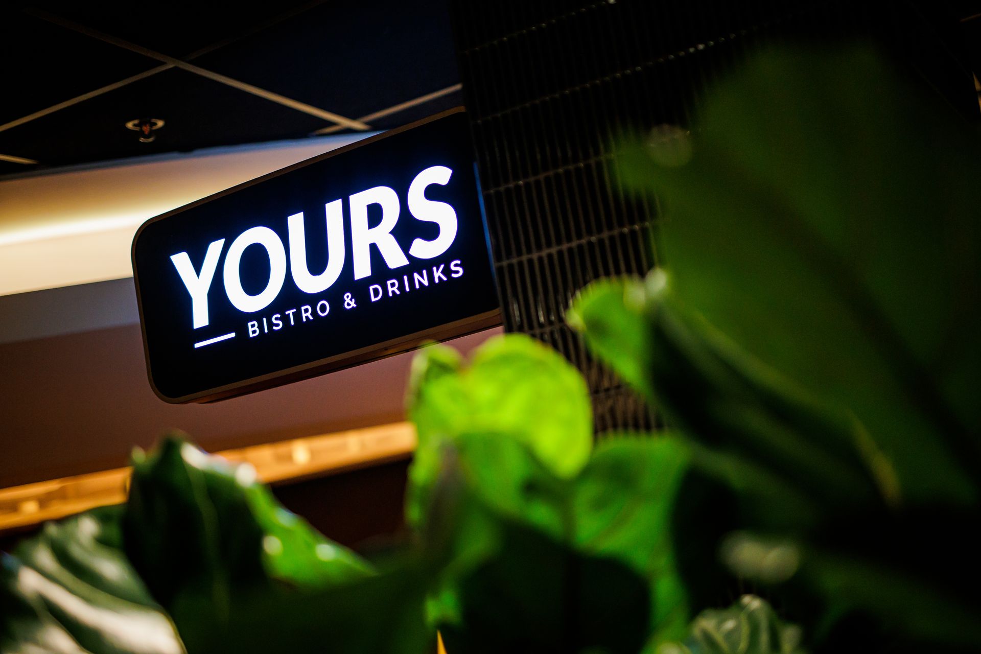 Bars en restaurants van Holland Casino